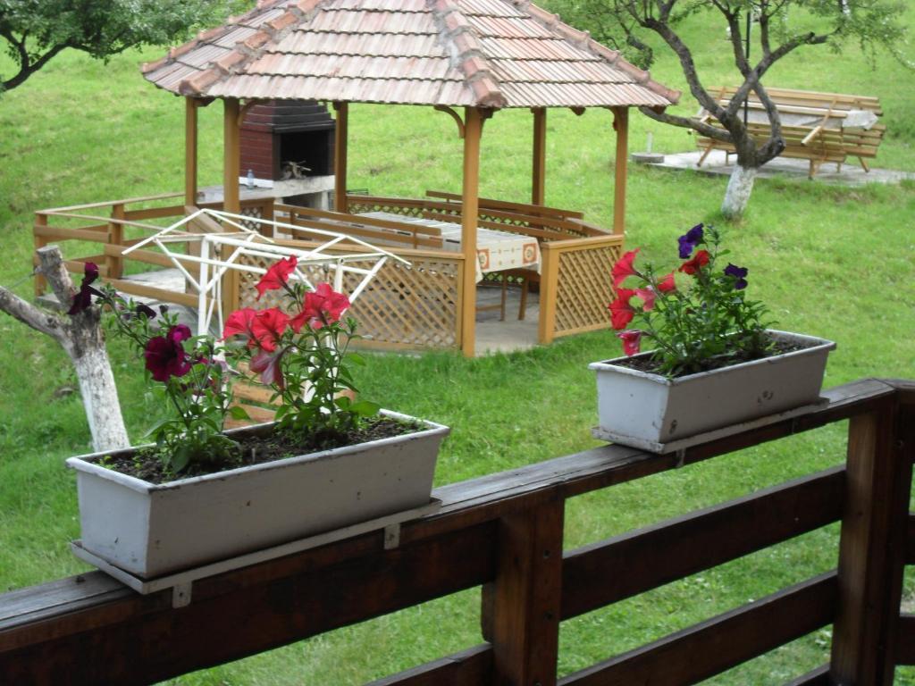 Pensiunea Laura Bran  Habitación foto